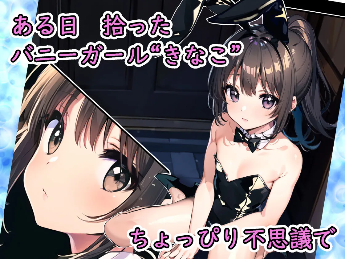 うさぎさんをかう