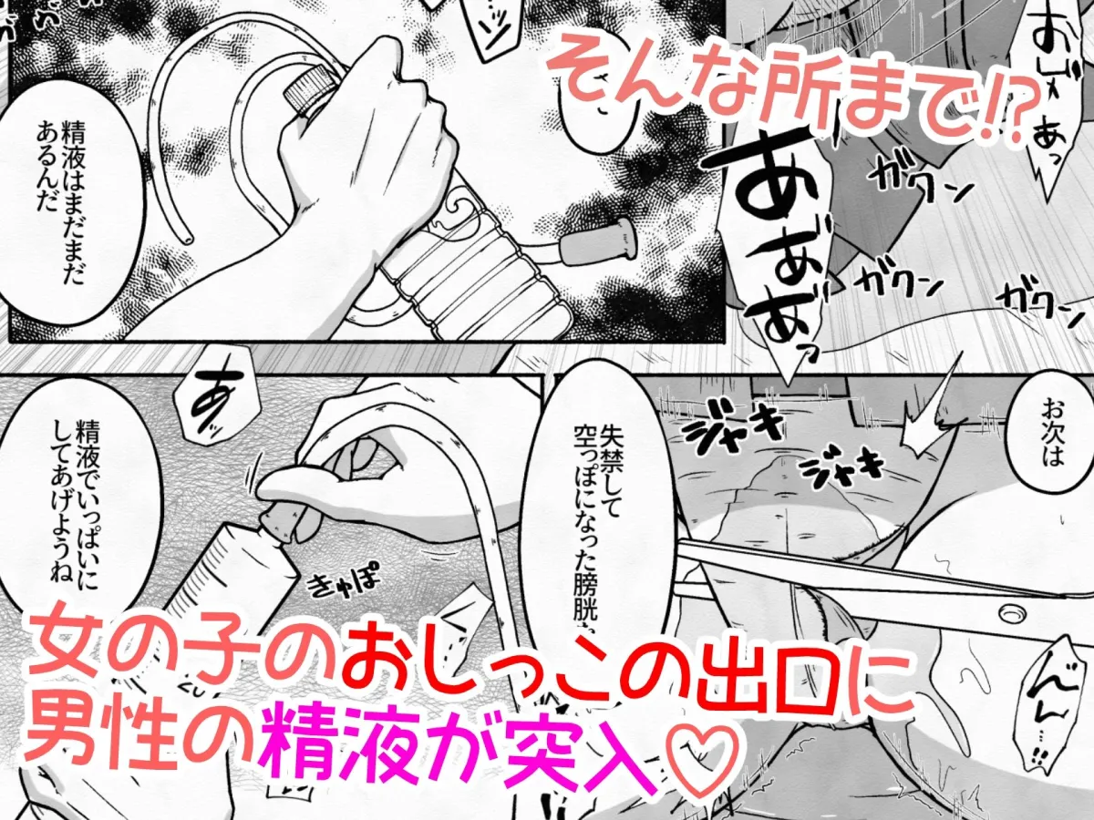 拉致した女の子をイかせ続けながら全身の穴という穴に精液と尿を流し込むお話
