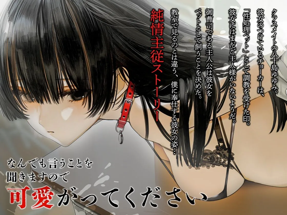 従順美少女 〜カノジョが僕のペットになったワケ【KU100】