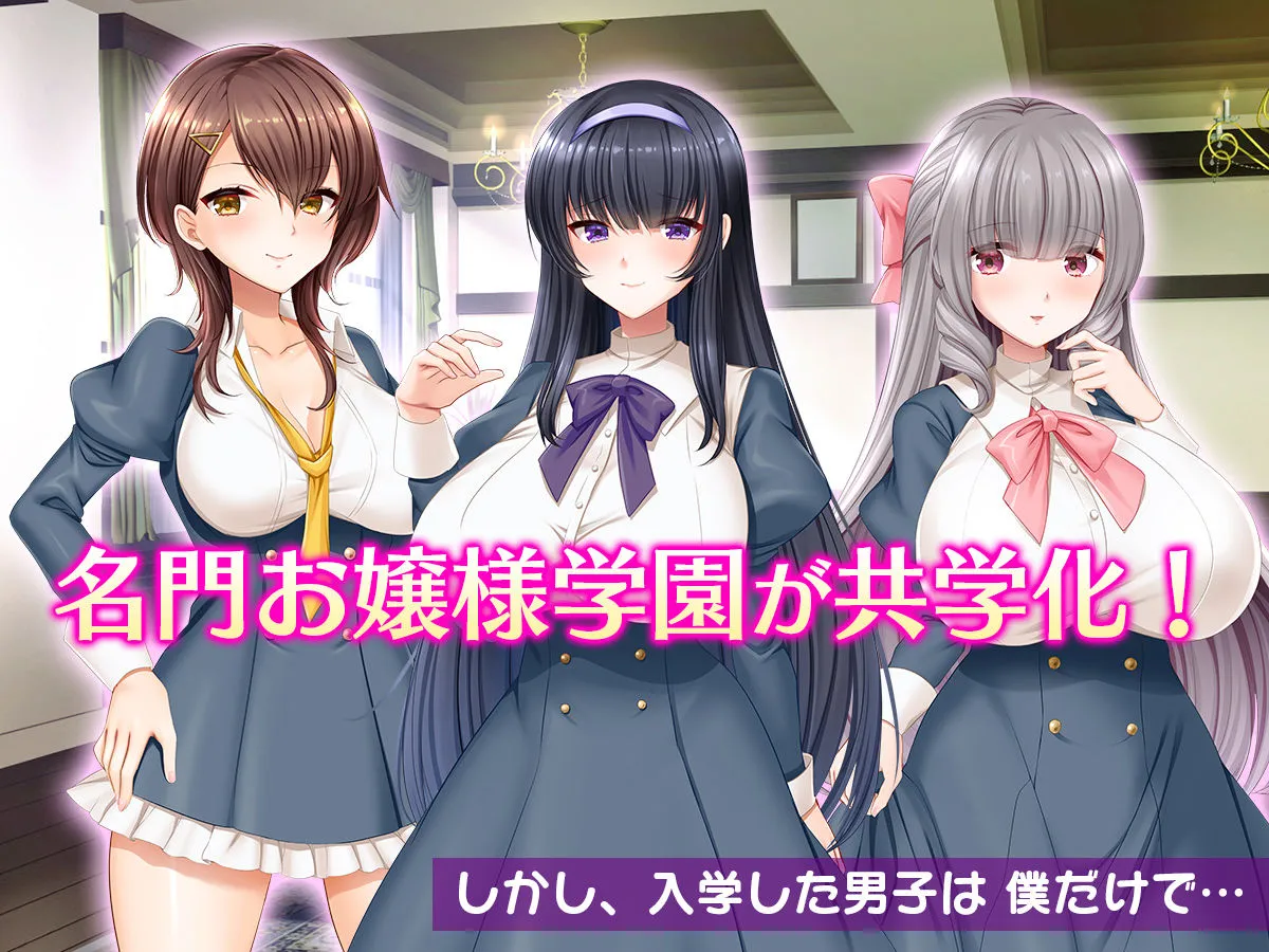 お嬢様学園のお姉さまはボクに夢中〜学園唯一の男子として搾り尽くされそうです！〜