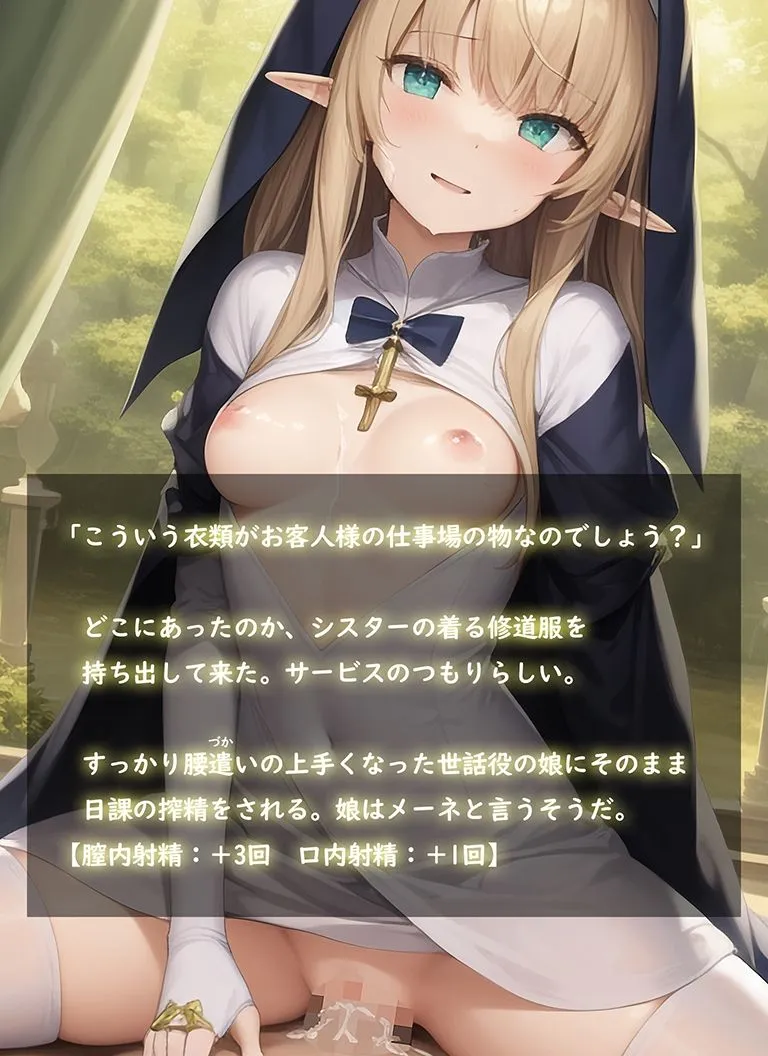 聖女淫辱記録集［Extra record patch］〜追加エピソード 妖精の村〜