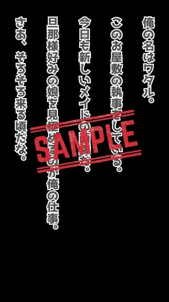 お屋敷のメイド面接 Vol.1