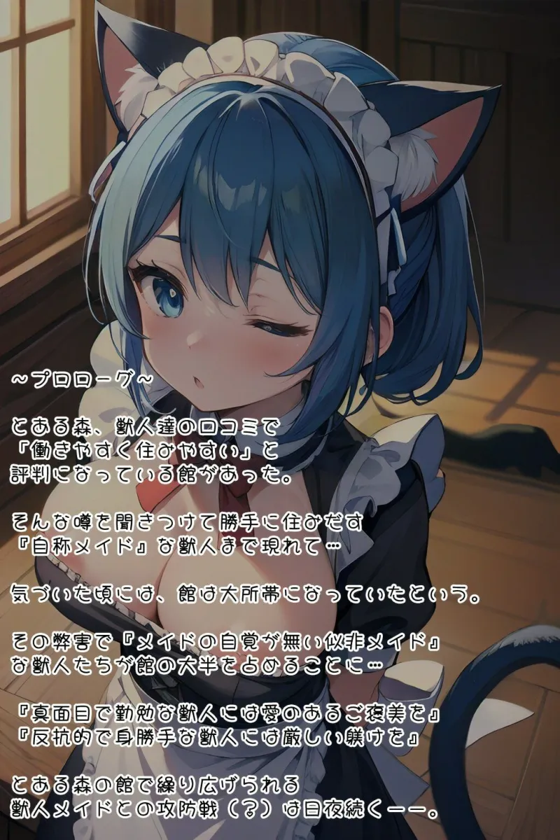 半裸繚乱 アニマルメイド編