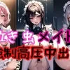 【泣き虫女子校生】メイドバイトで強制高圧中出し