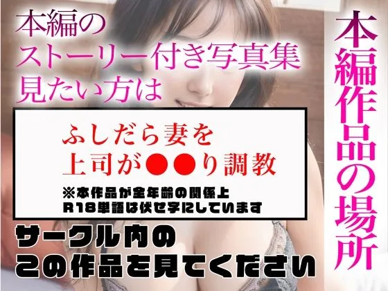 【超高画質グラビア写真集】ふしだら妻の下着。最高の100枚〜寝取り調教編〜