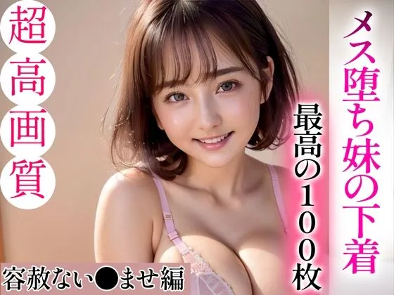 【超高画質グラビア写真集】メス堕ち妹の下着。最高の100枚〜容赦ない孕ませ編〜