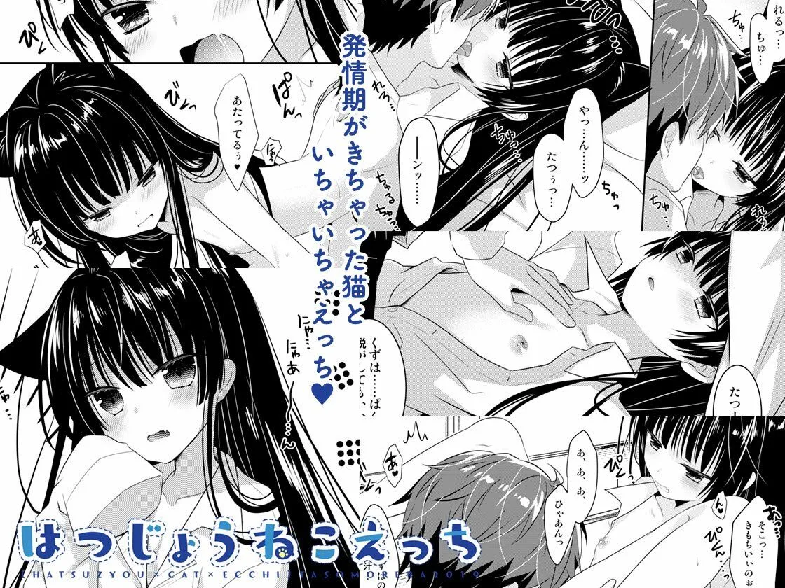 おやすみねこえっち