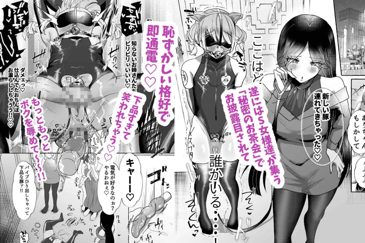 しおん100％♀ 可愛いボクが無様メス豚奴隷にされるまでの記録