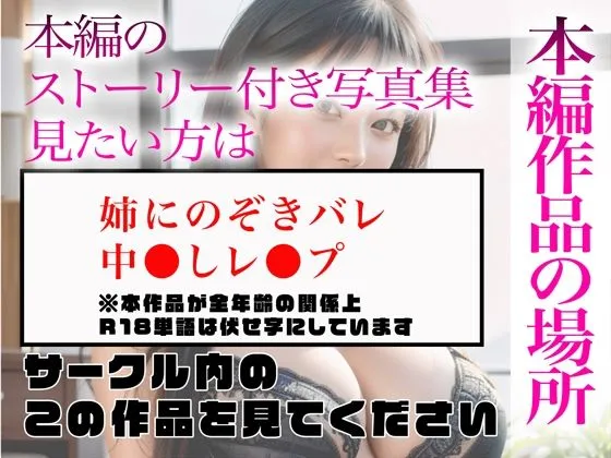 【超高画質グラビア写真集】巨乳姉の下着。最高の100枚〜中出しレイプ編〜