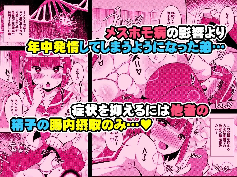 発情弟（オカマ）の性処理係