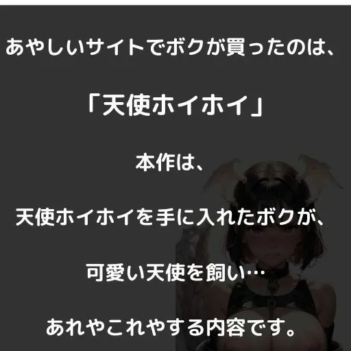 屋根裏で天使を飼う3