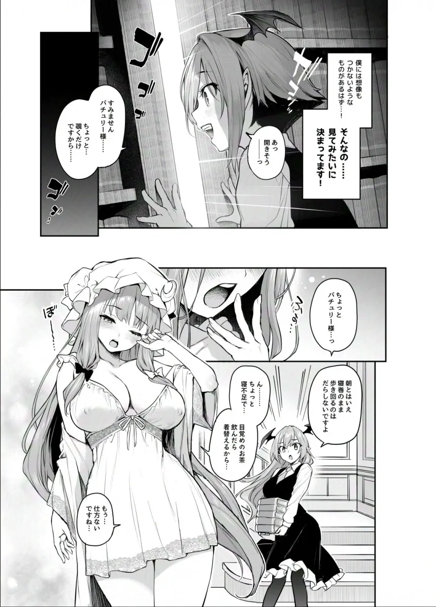 パチュリー様と秘密の部屋