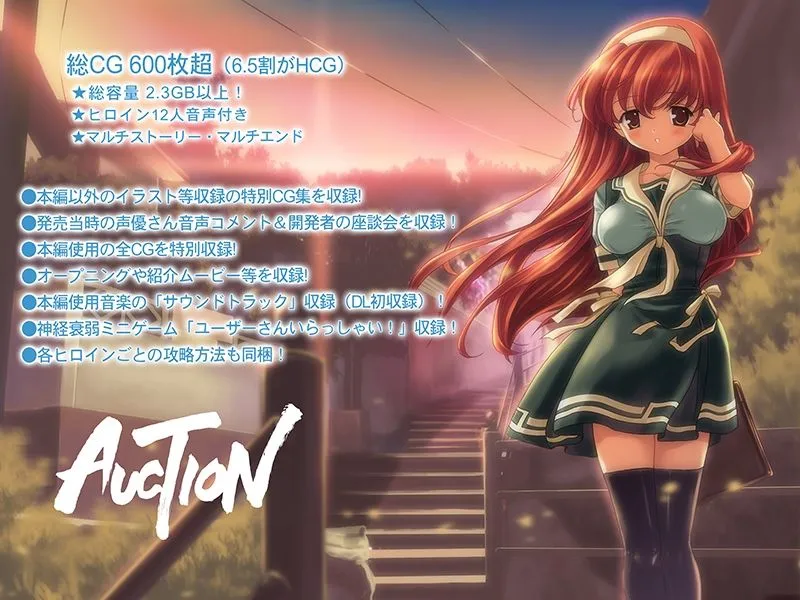 【期間限定70％OFF】AUCTION -てんこ盛り完全版-【豪華特典付！】