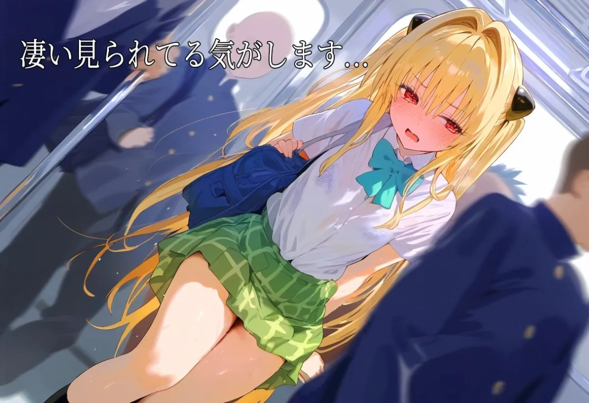 【肉便器シリーズ】痴漢特急電車編 〜TARGET ヤミ〜