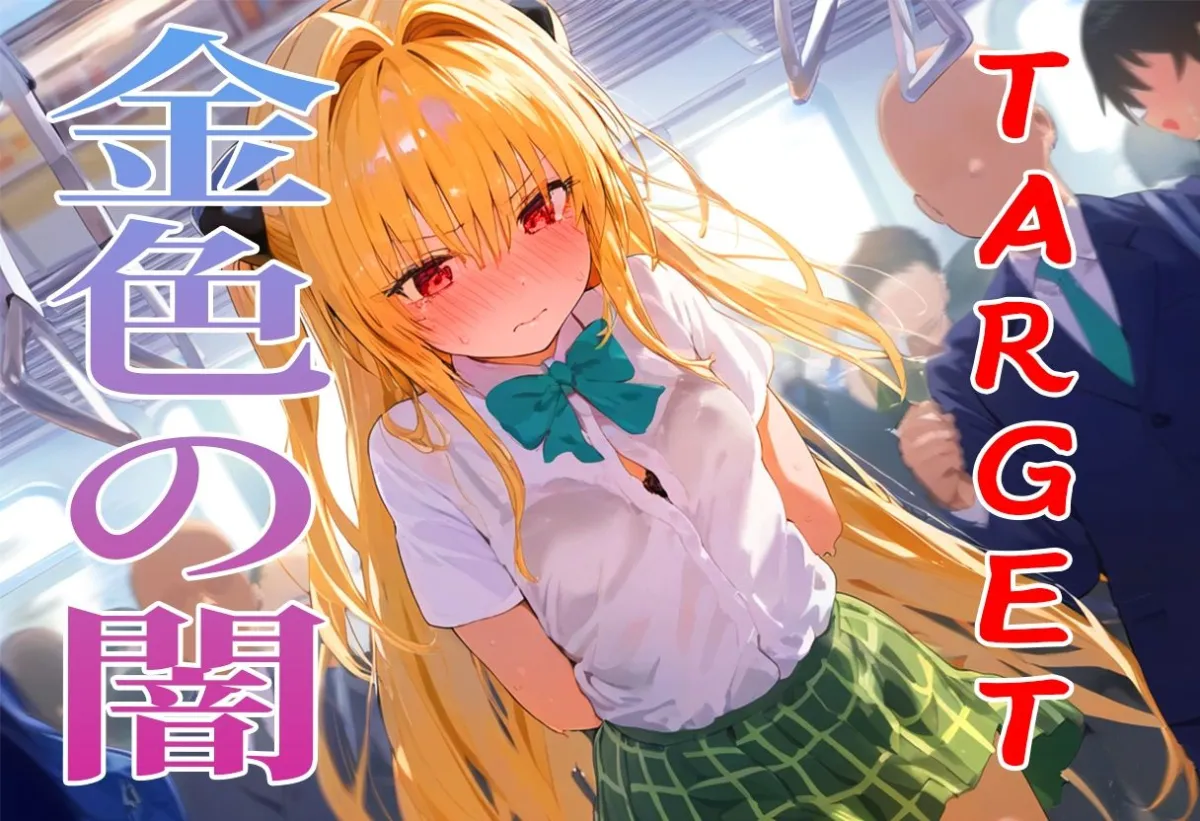 【肉便器シリーズ】痴漢特急電車編 〜TARGET ヤミ〜