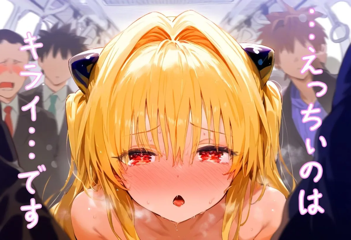 【肉便器シリーズ】痴漢特急電車編 〜TARGET ヤミ〜