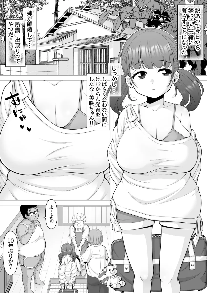 10年ぶりに会った巨乳メスガキ姪っ子が俺をバカにしてきたのでお仕置き睡眠姦レイプしちゃいました