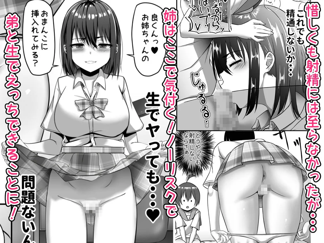 お姉ちゃんは弟の射精が見たい！後編