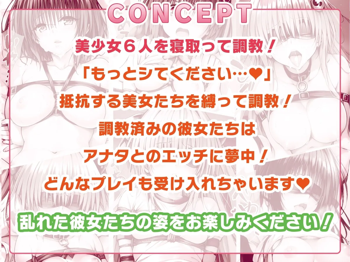 【アニメ】ToLOVEる寝取り調教で全員完堕ち