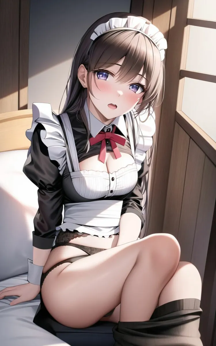 【超高画質グラビア写真集】メイドの下着。かわいい50枚〜2巻〜