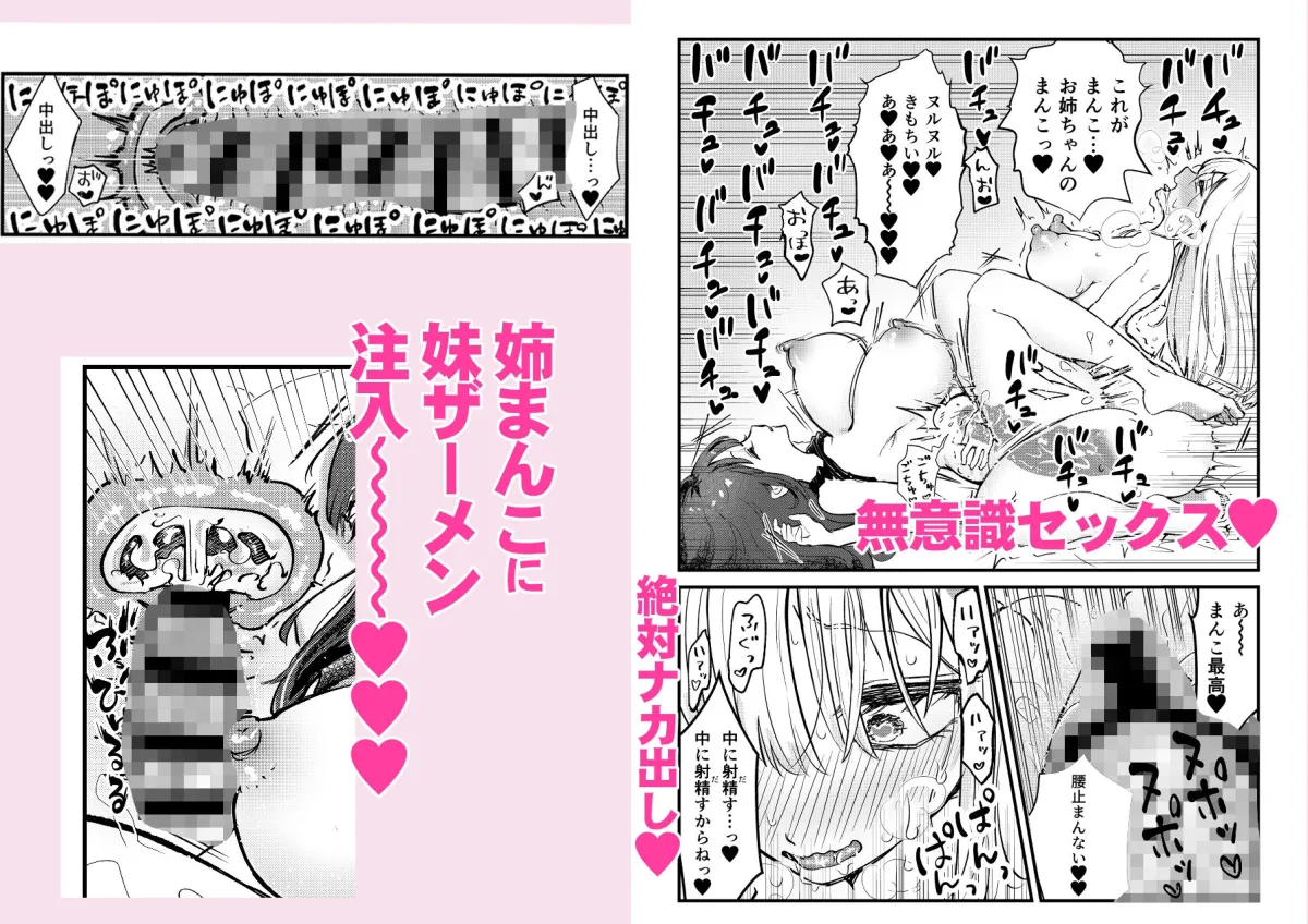 ふたなり妹が大好きなお姉ちゃんを睡眠姦する話