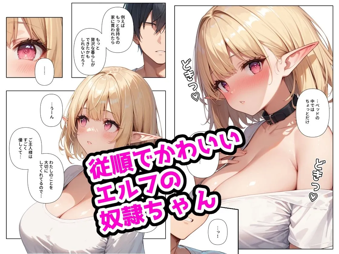 愛しの奴隷ちゃん 〜巨乳エルフ編〜