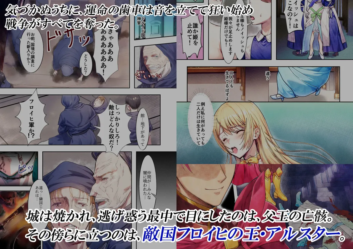 敗戦国ノ王女〜肉穴奴隷の刻印〜