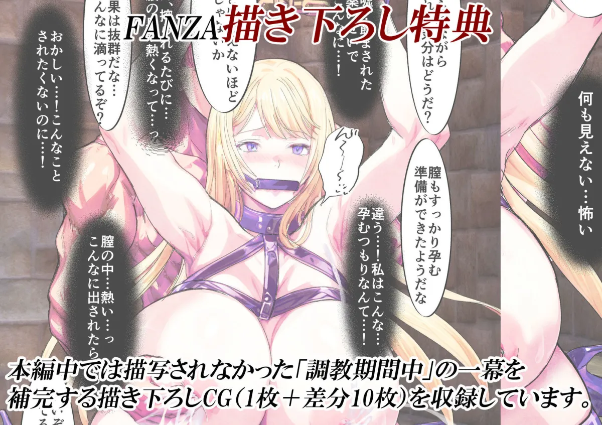 敗戦国ノ王女〜肉穴奴隷の刻印〜