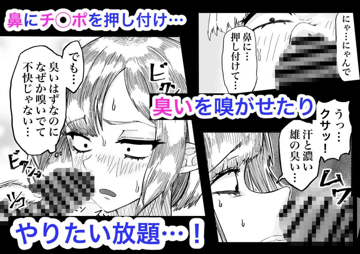 風呂嫌いな地味顔エルフの娼婦を騙して嫁にする