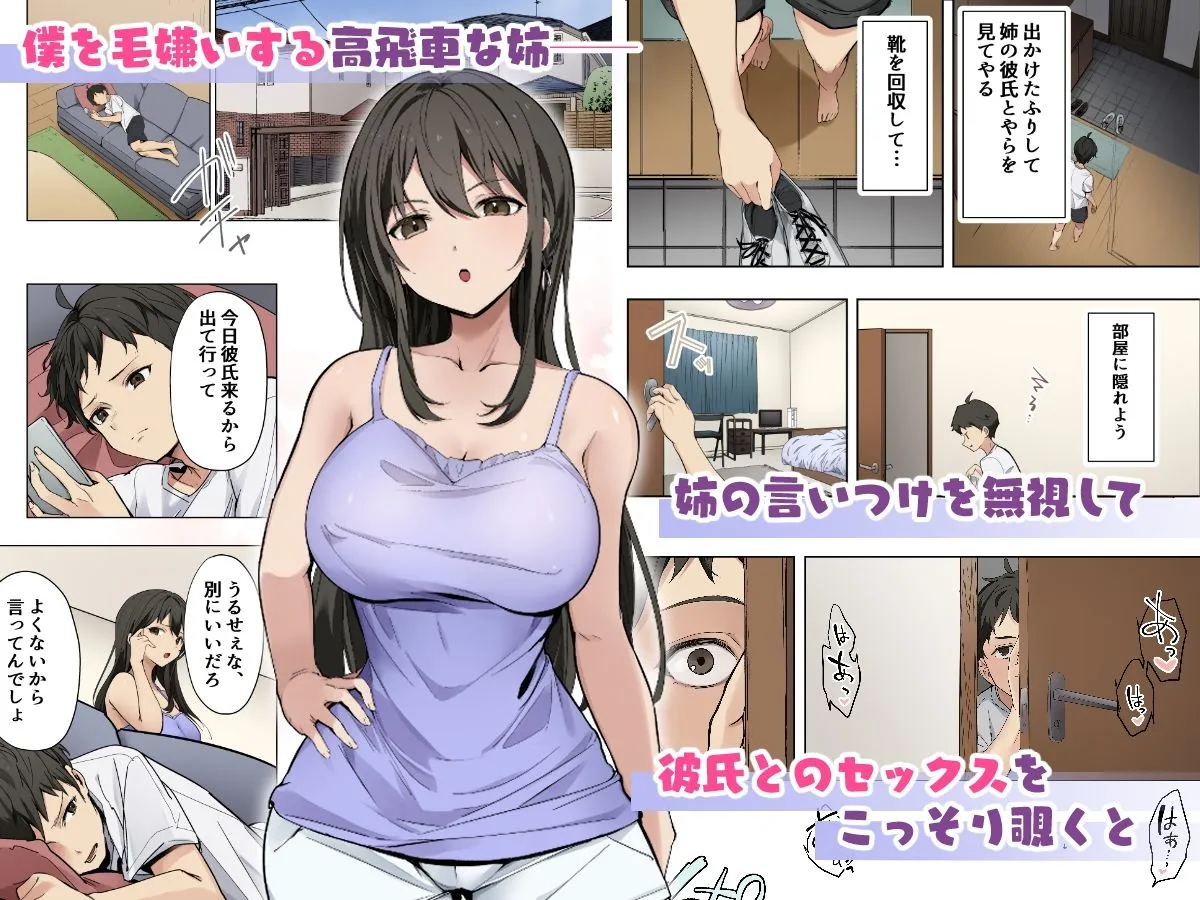 姉が彼氏とセックスしているのを目撃して以来、勃起が止まらずハメまくっちゃいました