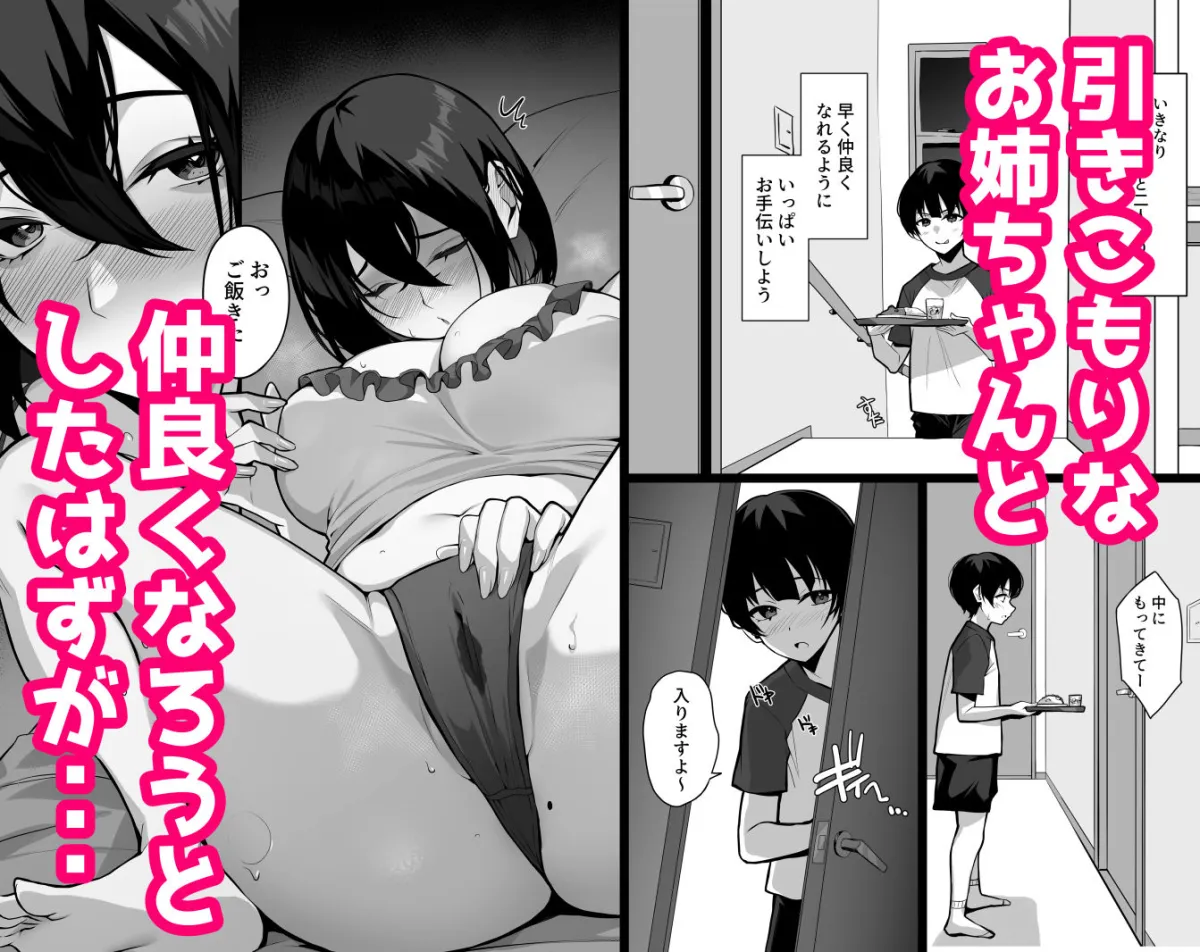 ダウナーで引きこもりなお姉ちゃんの秘密のお手伝い