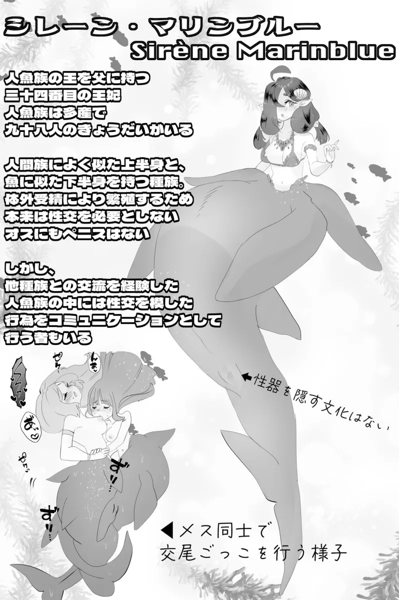 異世界憑依紀行ー有翼人とマーメイドー