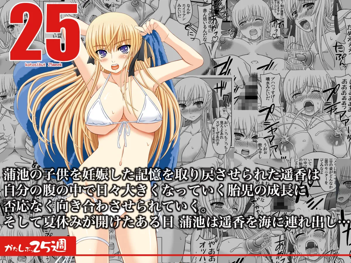 かたしぶっコンプリート