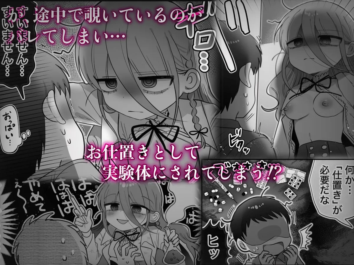 ダウナー研究者お姉さんと助手のHを覗き見してしまった話。