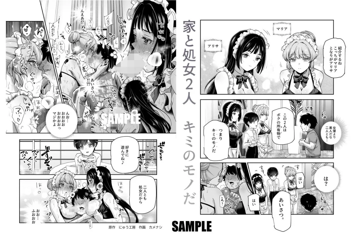 ボクの人権をあげるEX 学校で一番モテて金持ちで天才のエリートが誕生日プレゼントに人権をくれた話（しかも女）