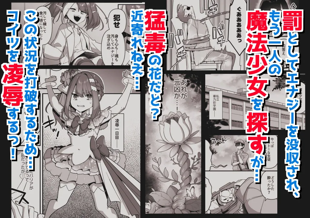 悪の手先になったので。〜魔法少女を陵辱します〜3前編