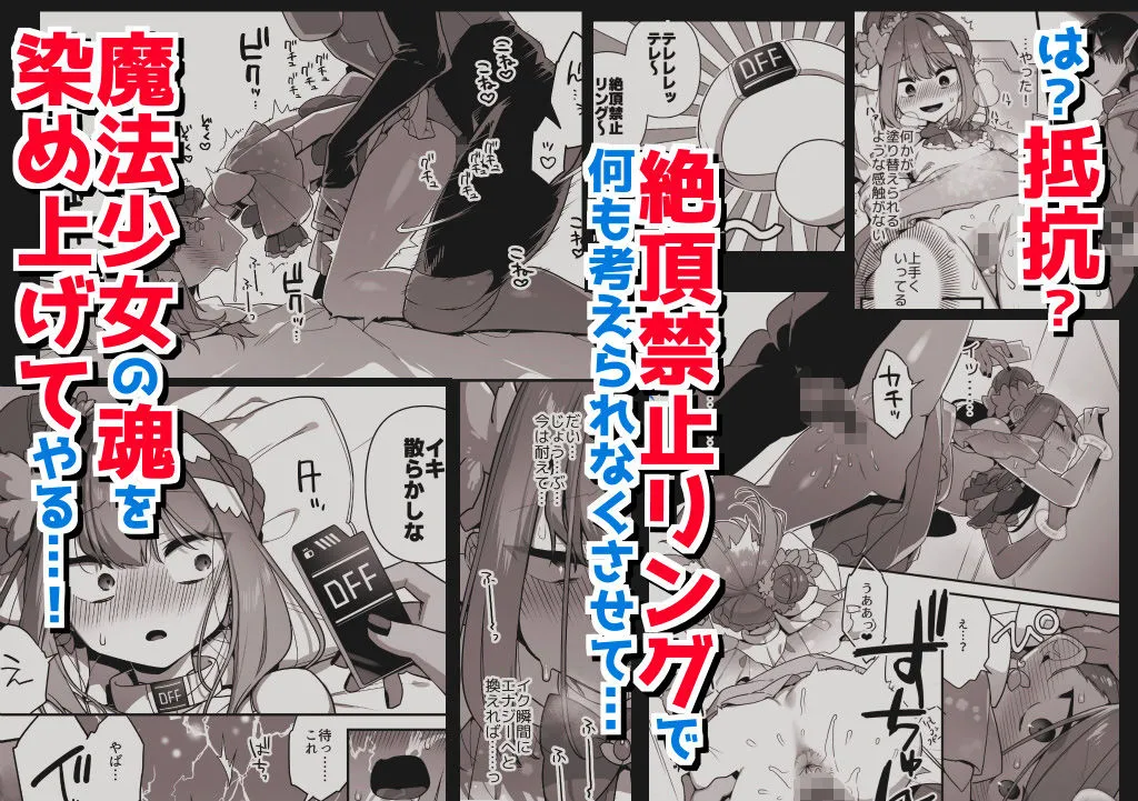 悪の手先になったので。〜魔法少女を陵辱します〜3前編