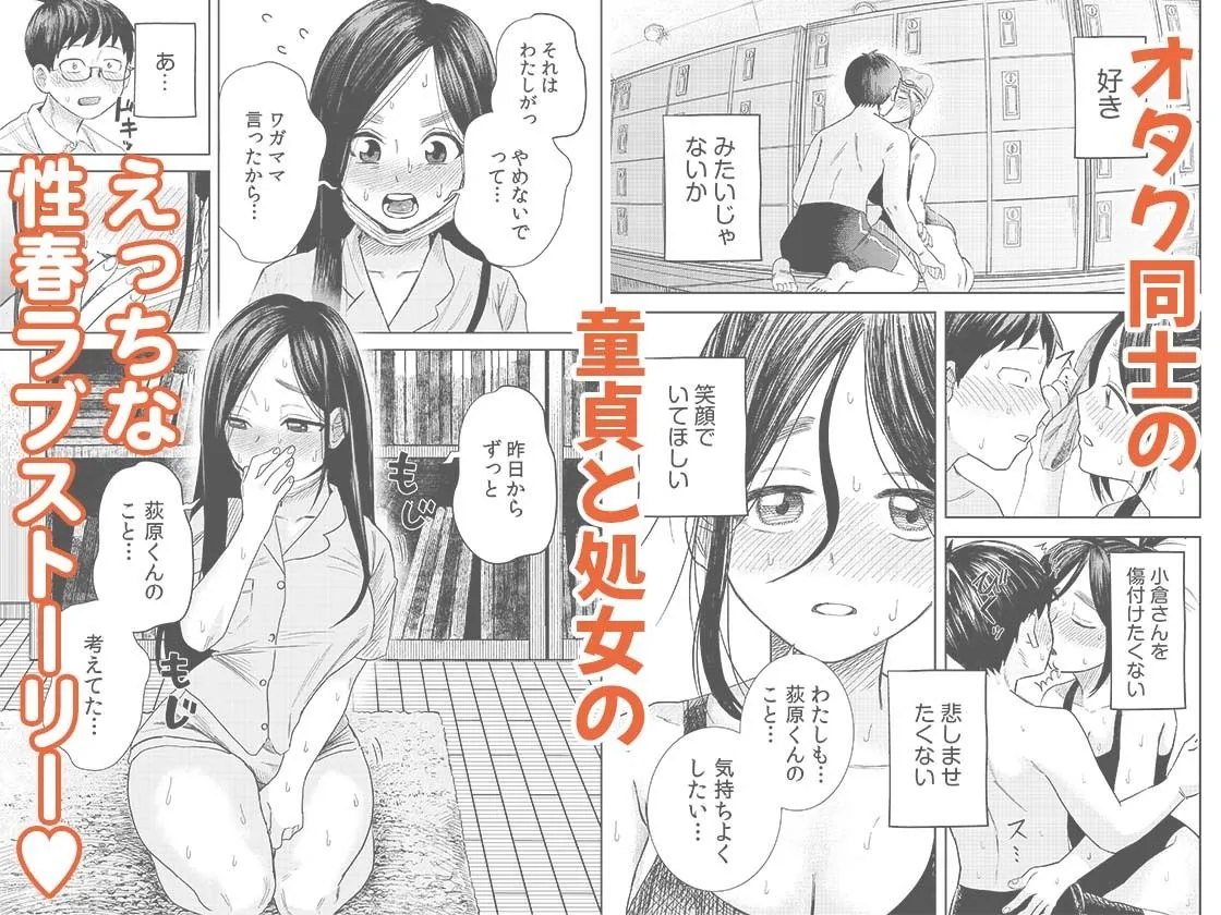 オタク同士の童貞処女がはじめてのセックスをする話 1