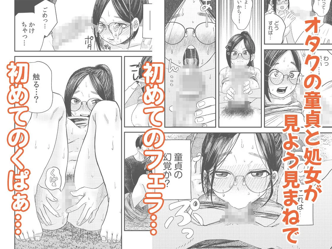 オタク同士の童貞処女がはじめてのセックスをする話 1