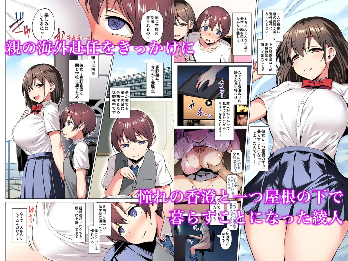 【フルカラー版】ネトシス〜春野香澄〜