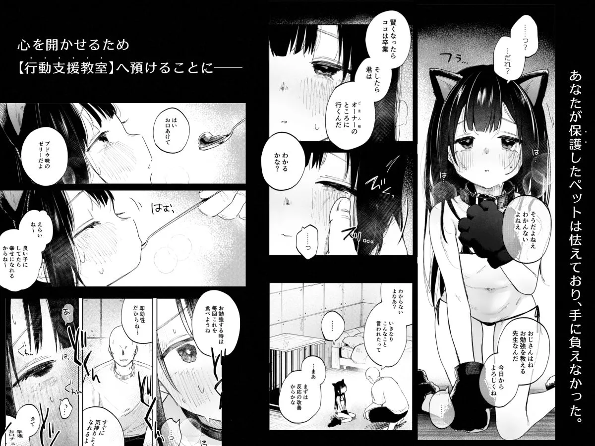 調整記録 ご主人様（あなた）の元へ届くまで