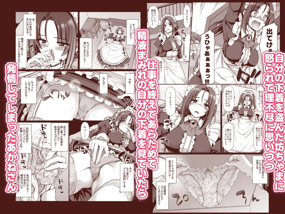 ポンコツ独身メイドあかねさん（28）