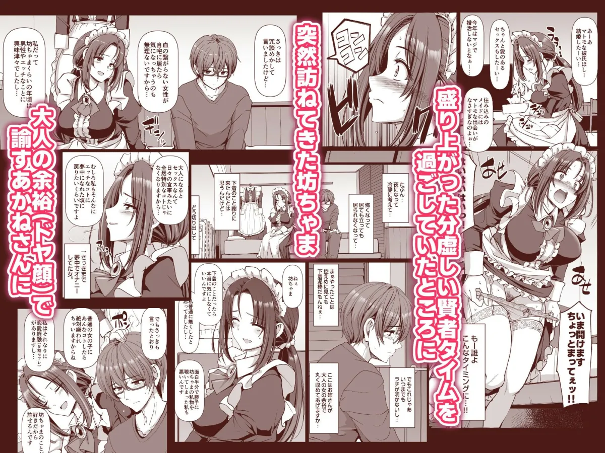 ポンコツ独身メイドあかねさん（28）