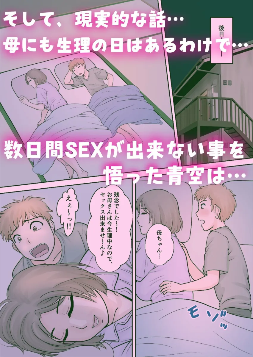 母子ふたり暮らし  第四章『壊関』