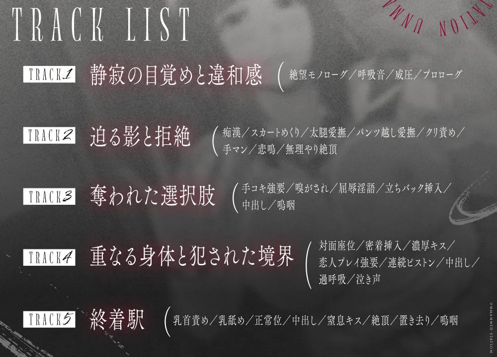 【無人駅ASMR】痴漢×中出しレイプ〜おとなしい巨乳少女を誰もいない電車内で陵辱〜