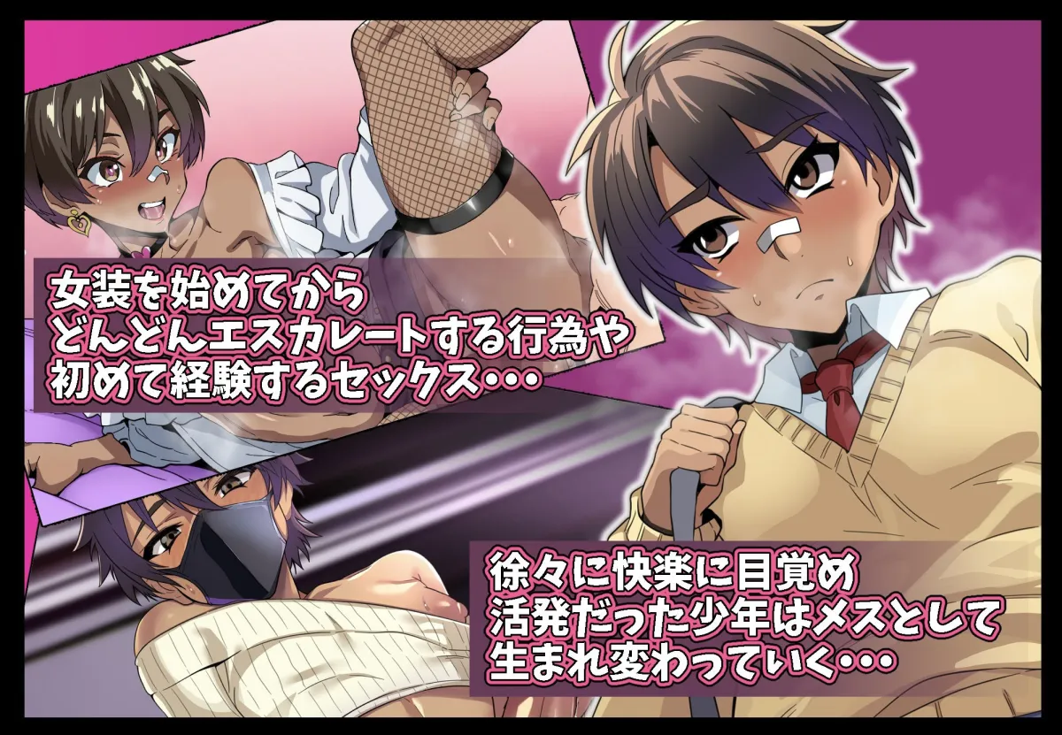 褐色少年女装日誌 ボクが女装を始めてからの30日間