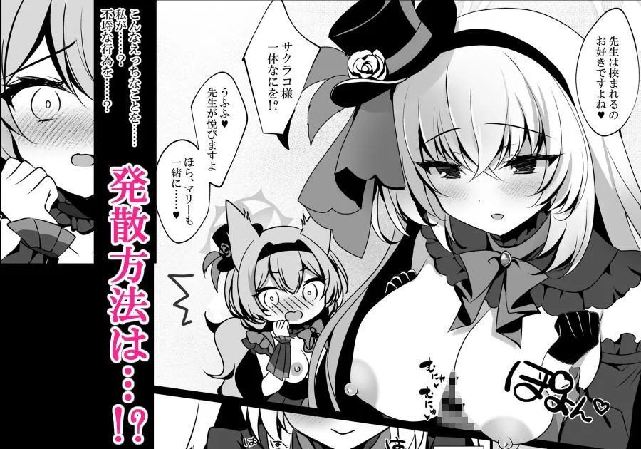 サクラコセフレ＋秘密の裏ライブ 2本セット