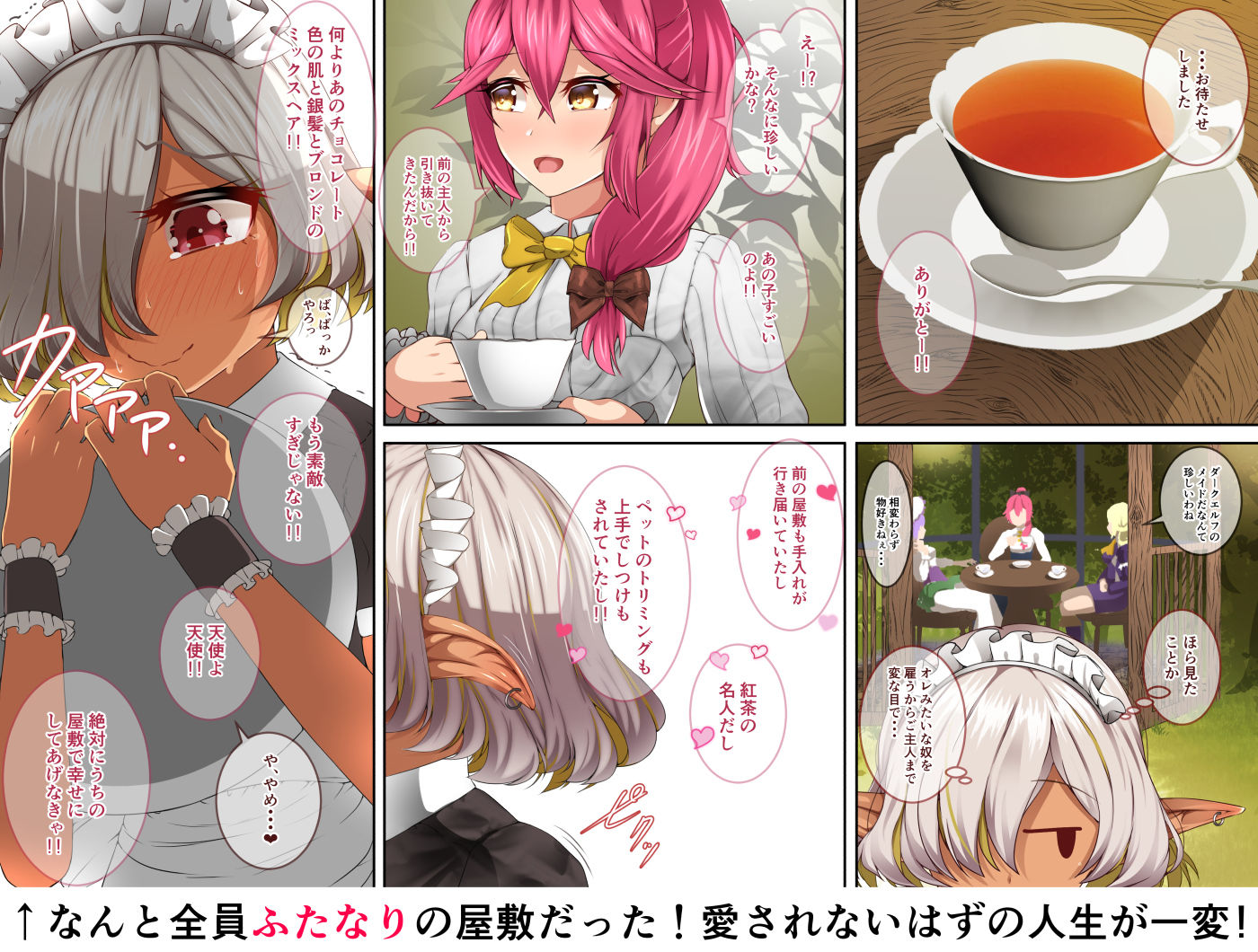 不良ふたなりダークエルフメイドさんは本当は愛されたい