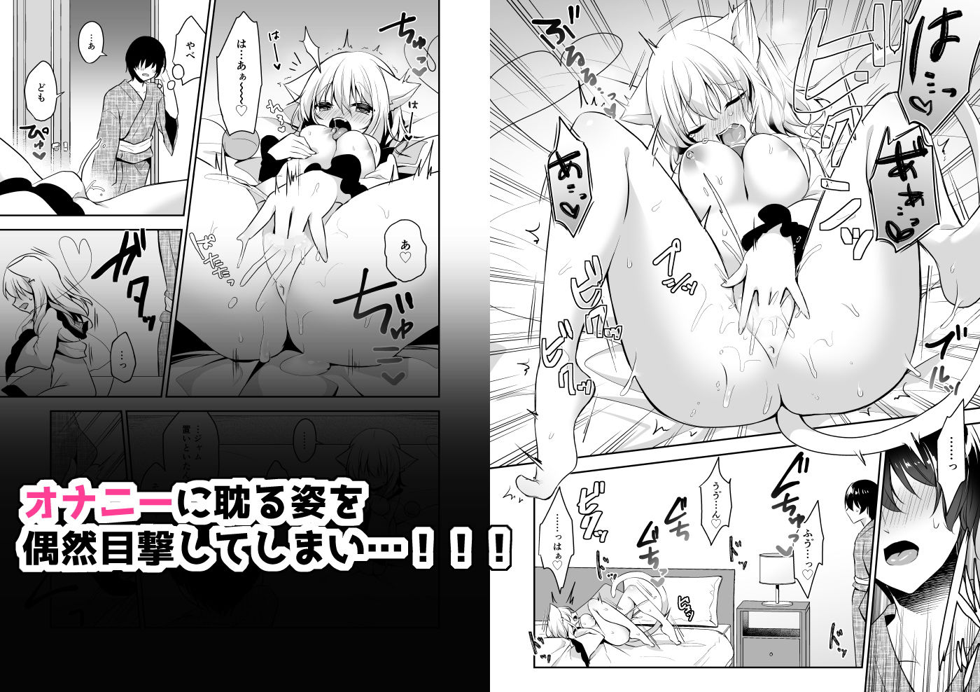 発情期のにゃんこいし