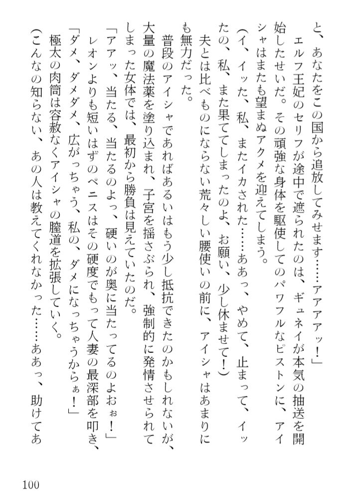 アイシャ 奪われたエルフ王妃